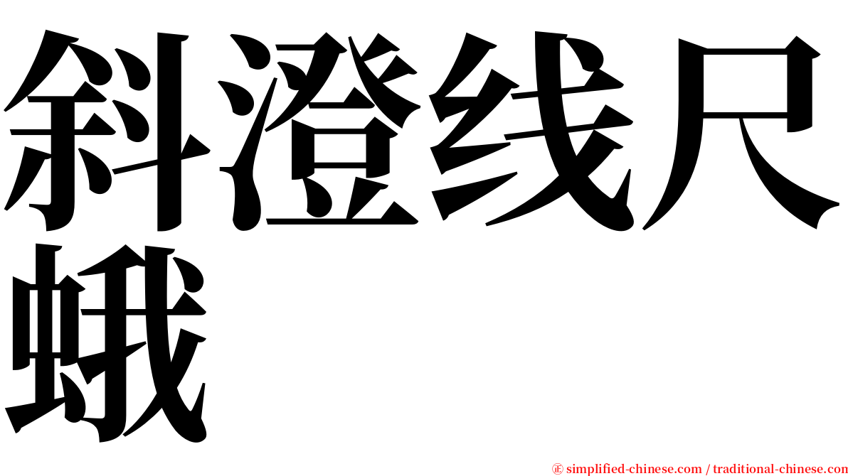 斜澄线尺蛾 serif font