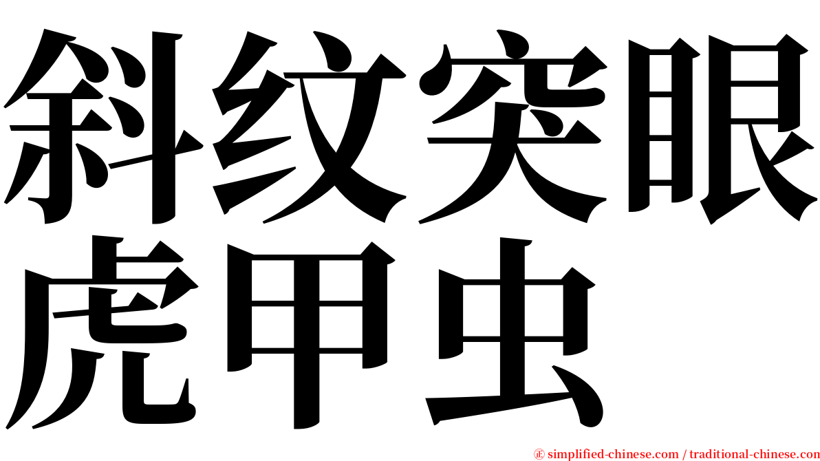 斜纹突眼虎甲虫 serif font