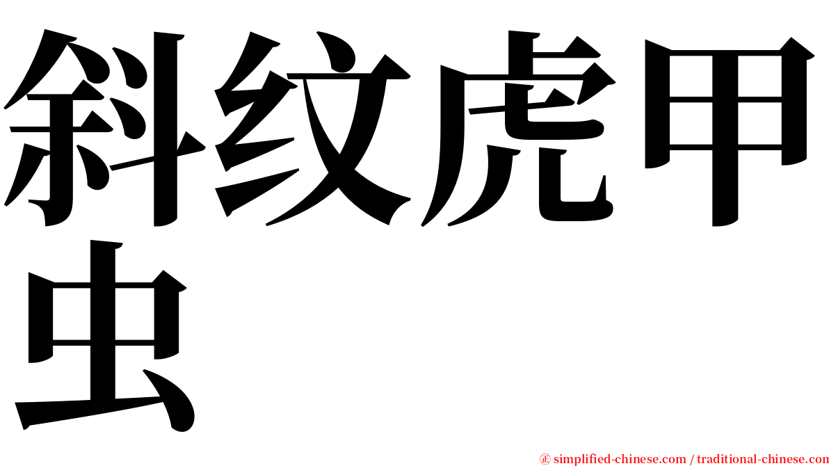 斜纹虎甲虫 serif font