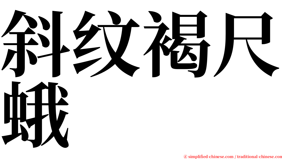 斜纹褐尺蛾 serif font