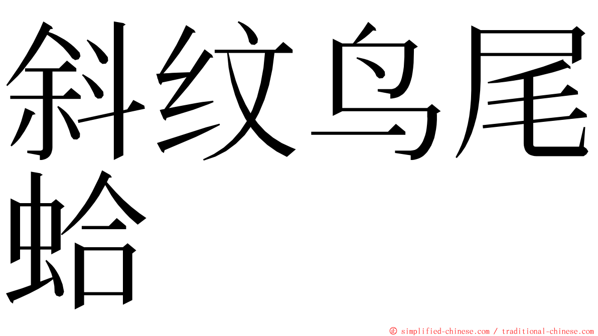 斜纹鸟尾蛤 ming font