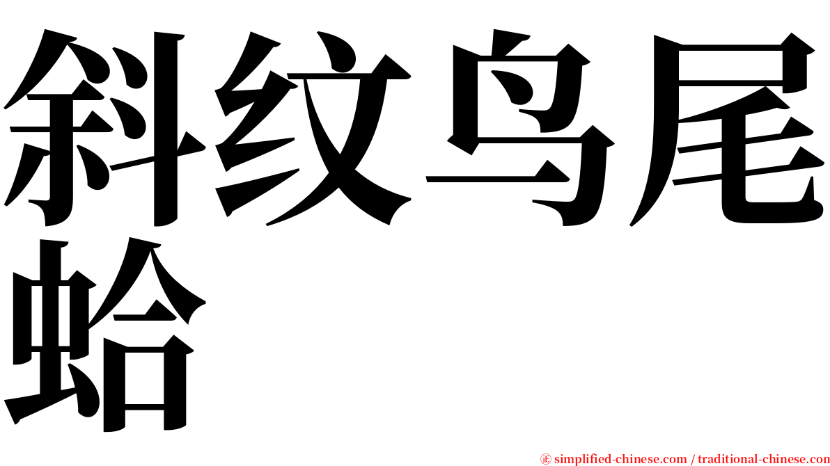 斜纹鸟尾蛤 serif font