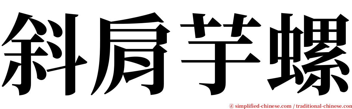 斜肩芋螺 serif font