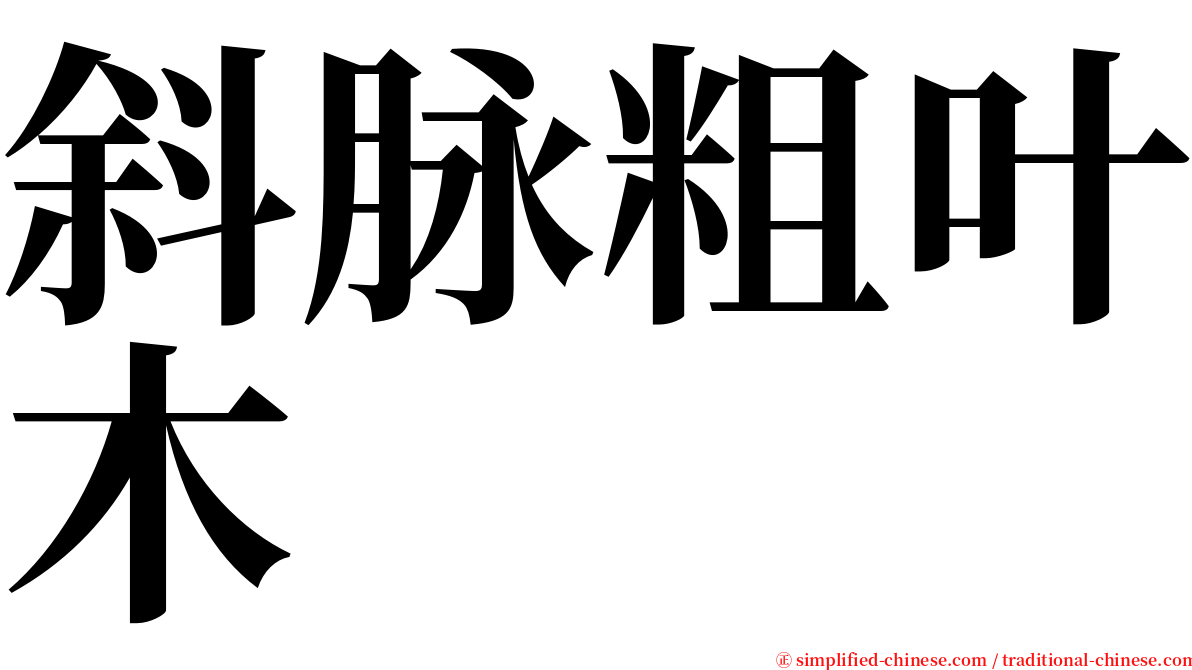 斜脉粗叶木 serif font