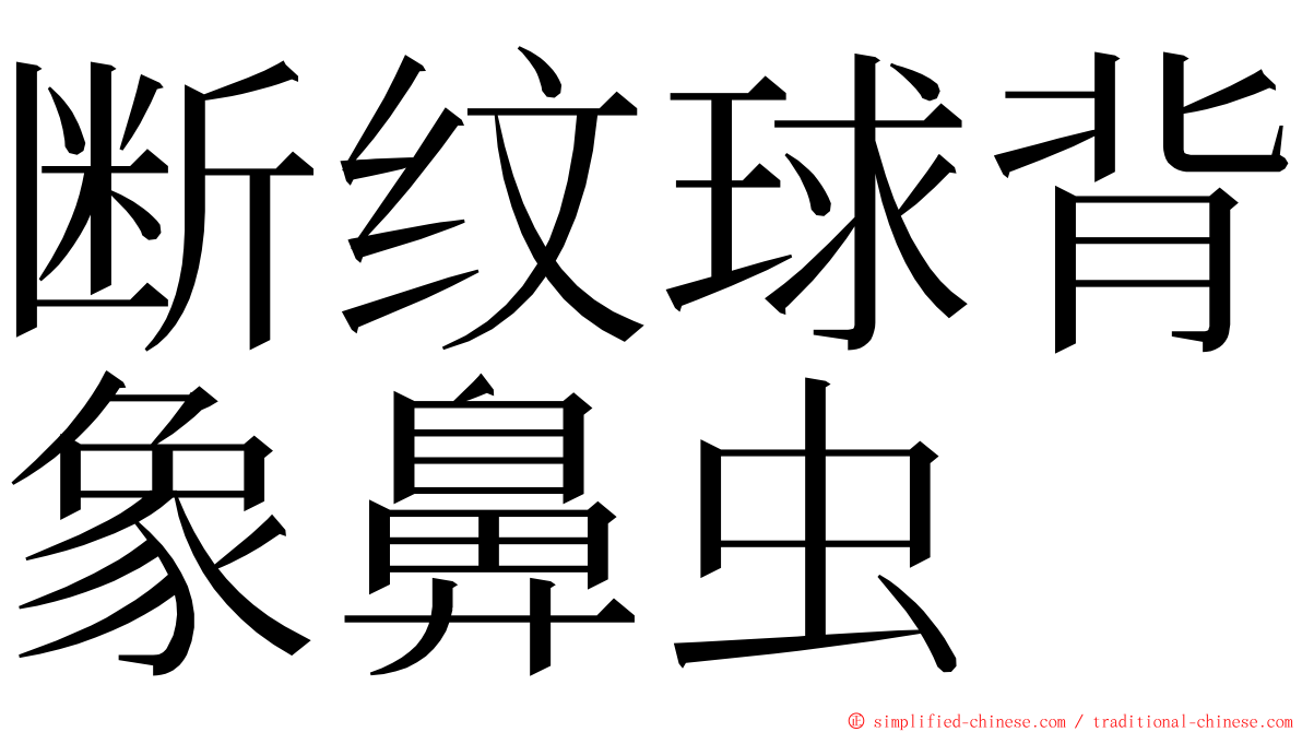 断纹球背象鼻虫 ming font