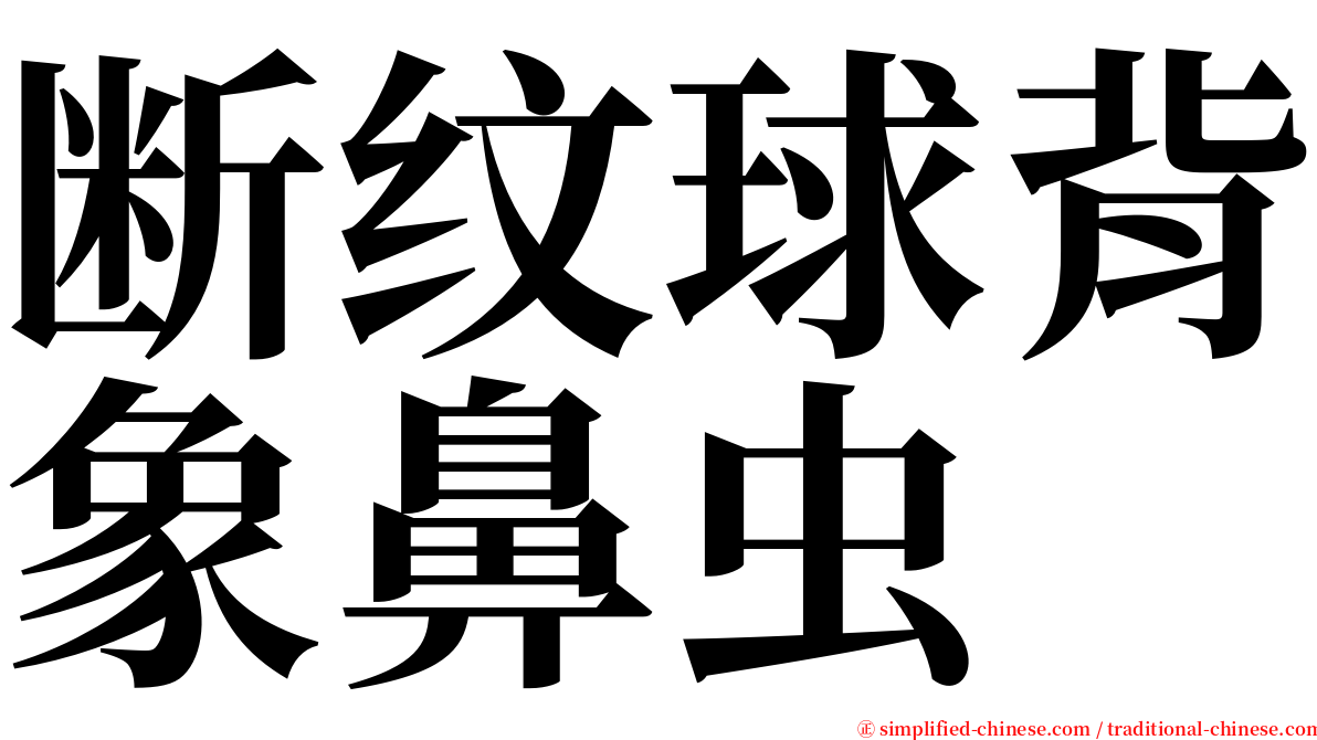 断纹球背象鼻虫 serif font