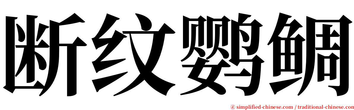 断纹鹦鲷 serif font