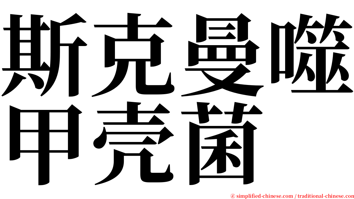 斯克曼噬甲壳菌 serif font