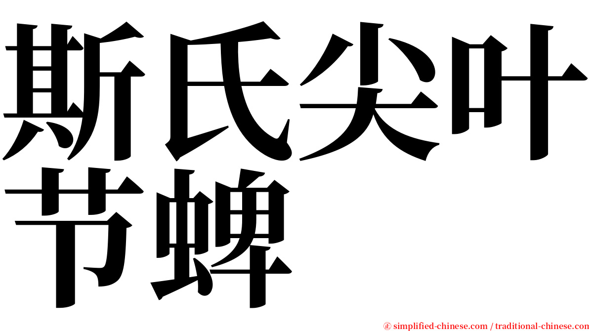 斯氏尖叶节蜱 serif font