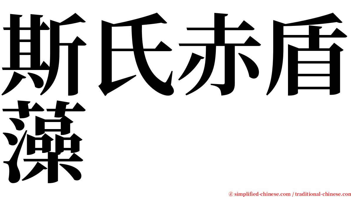 斯氏赤盾藻 serif font