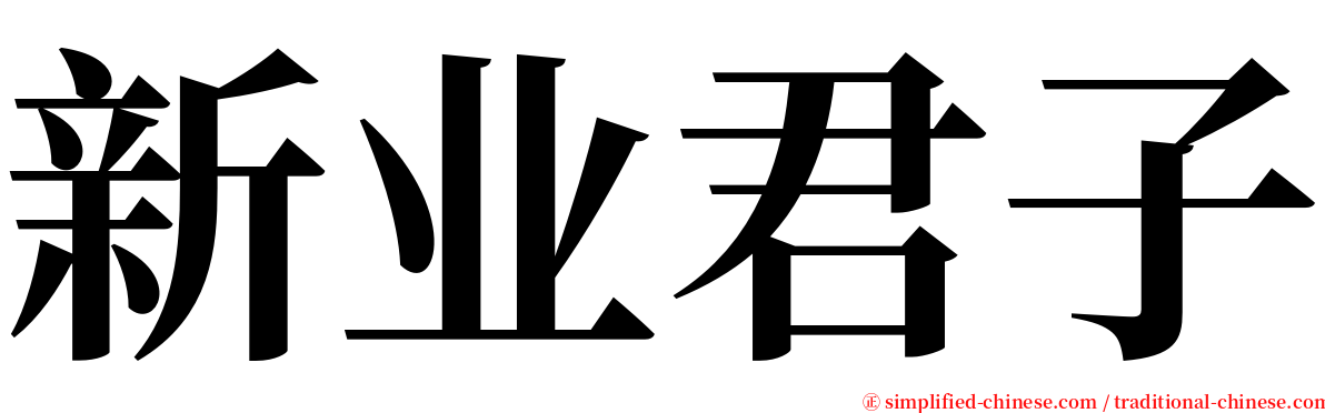 新业君子 serif font