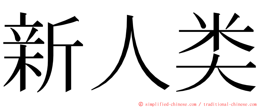 新人类 ming font