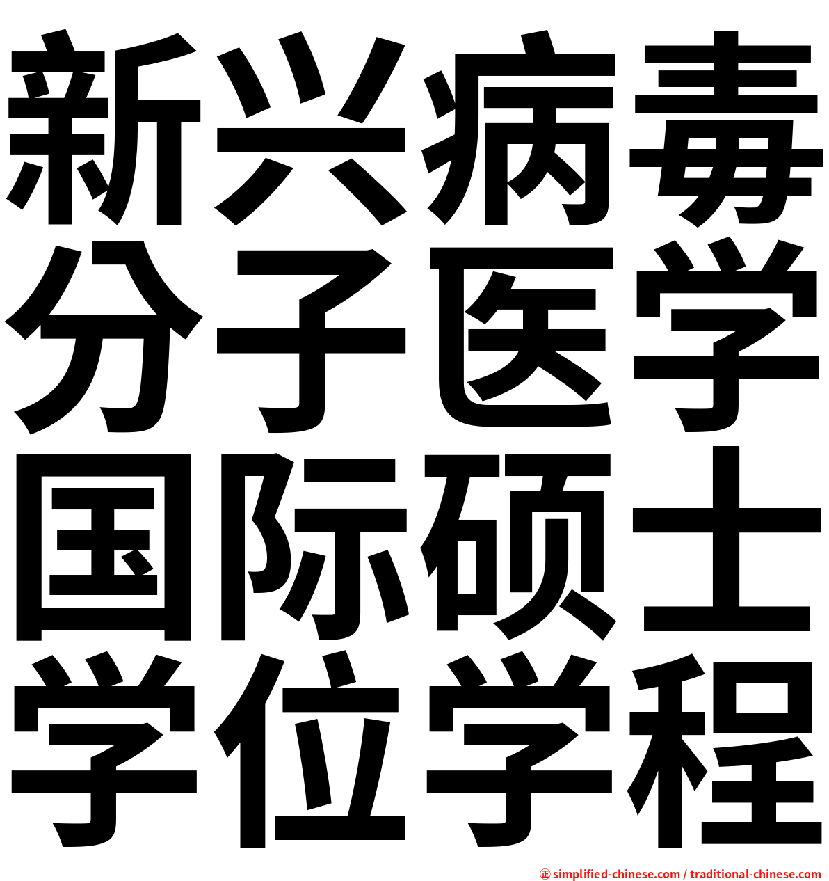 新兴病毒分子医学国际硕士学位学程