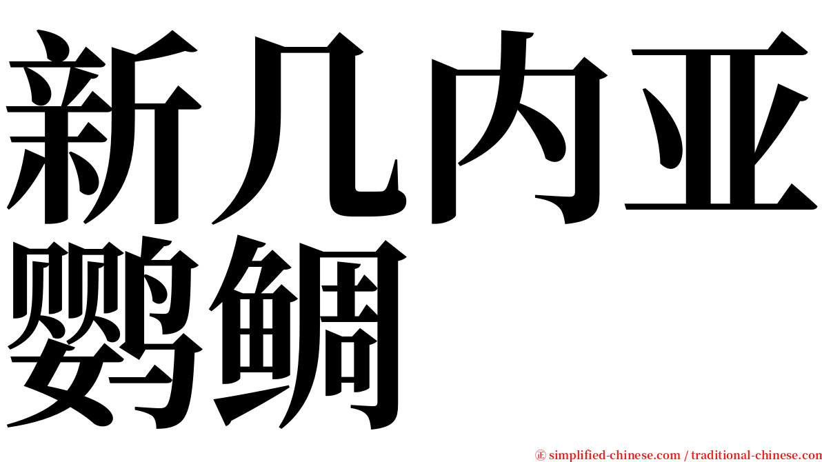 新几内亚鹦鲷 serif font