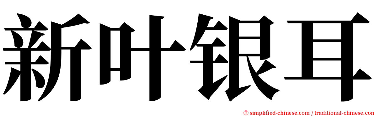 新叶银耳 serif font