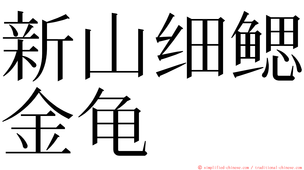 新山细鳃金龟 ming font