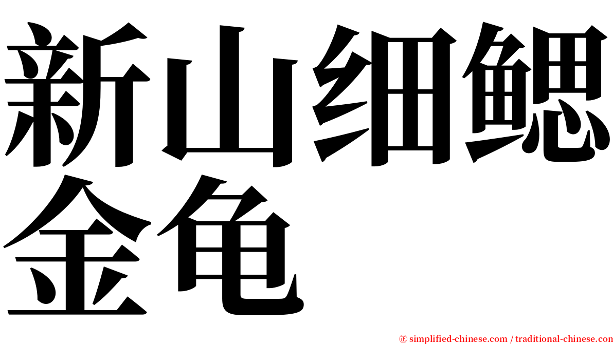 新山细鳃金龟 serif font