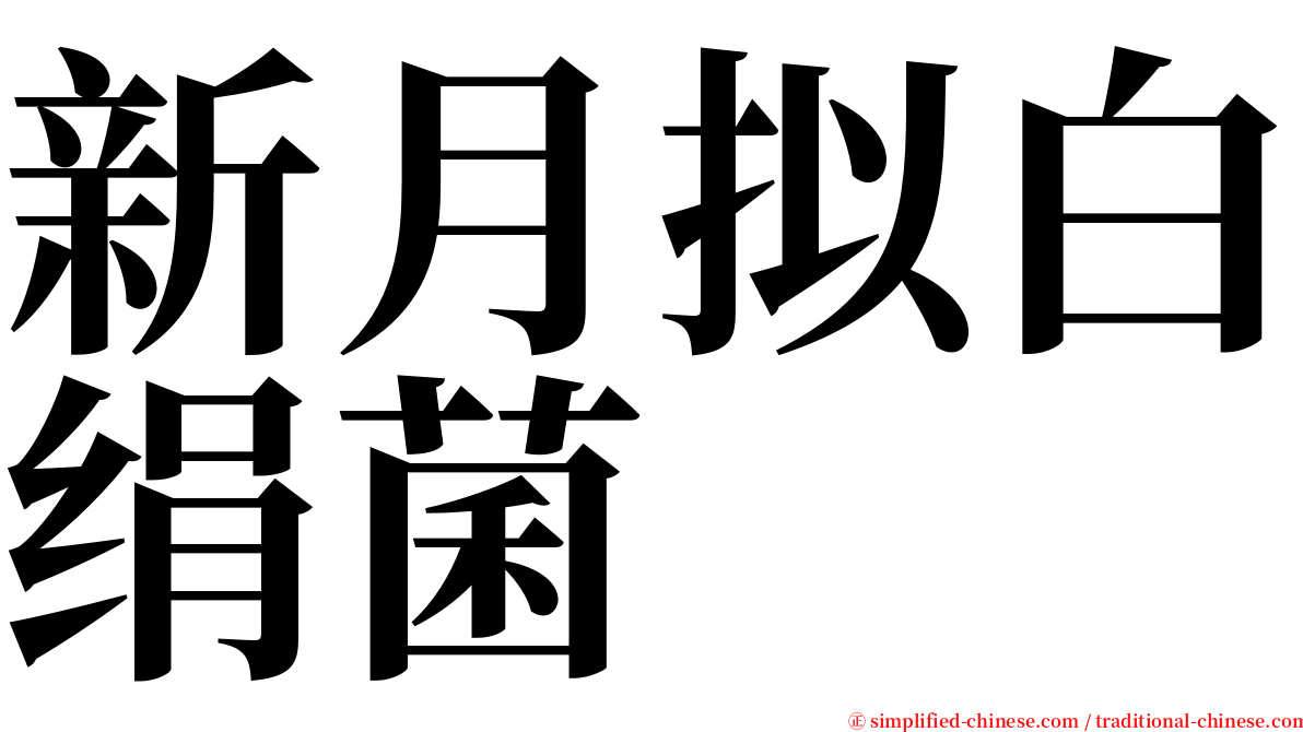 新月拟白绢菌 serif font