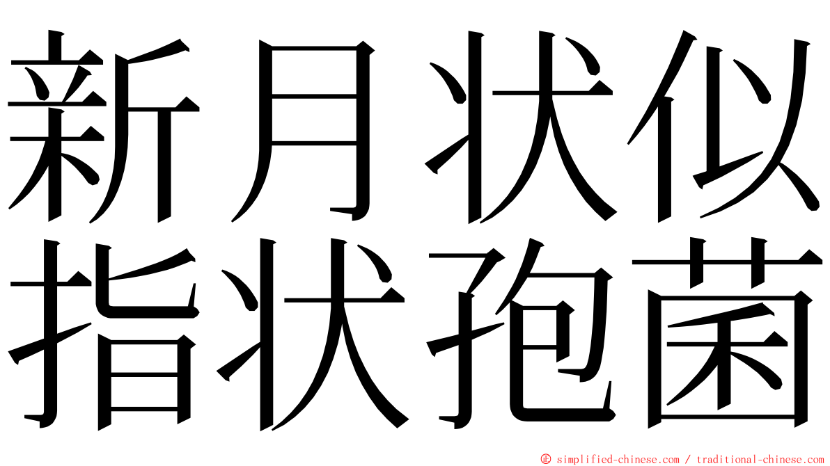 新月状似指状孢菌 ming font