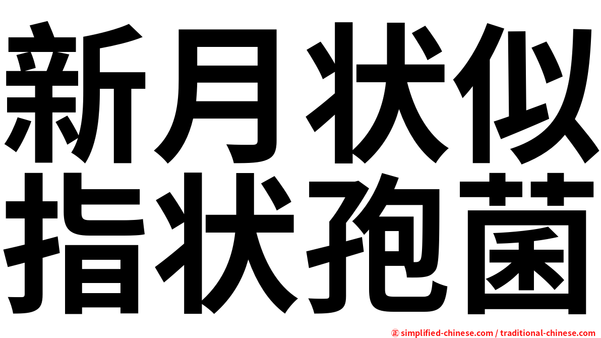 新月状似指状孢菌