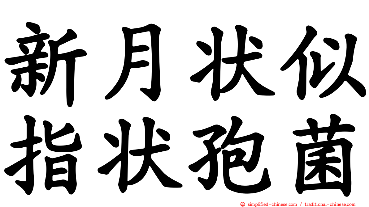新月状似指状孢菌