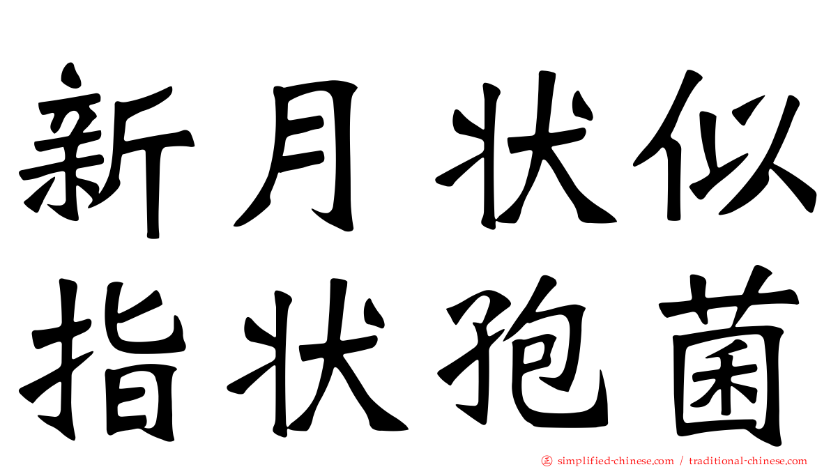 新月状似指状孢菌