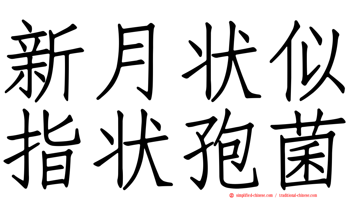 新月状似指状孢菌