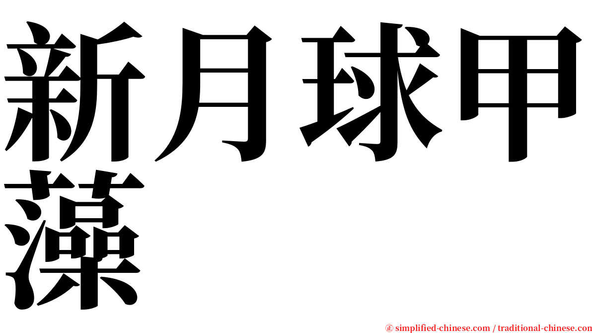 新月球甲藻 serif font