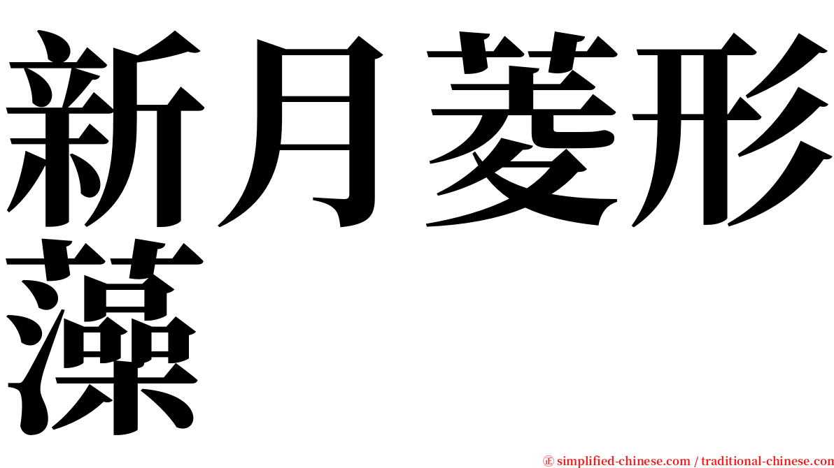 新月菱形藻 serif font