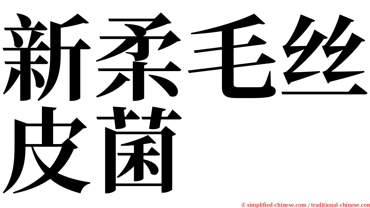 新柔毛丝皮菌 serif font