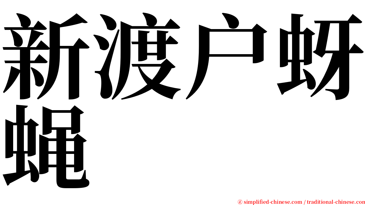 新渡户蚜蝇 serif font