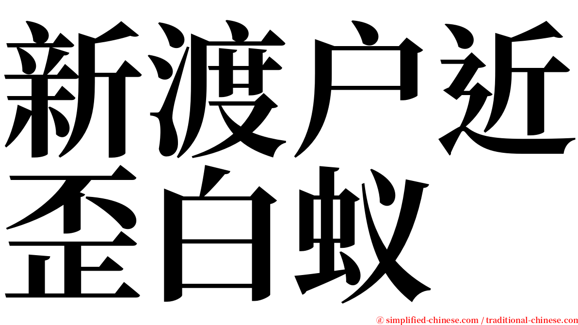 新渡户近歪白蚁 serif font