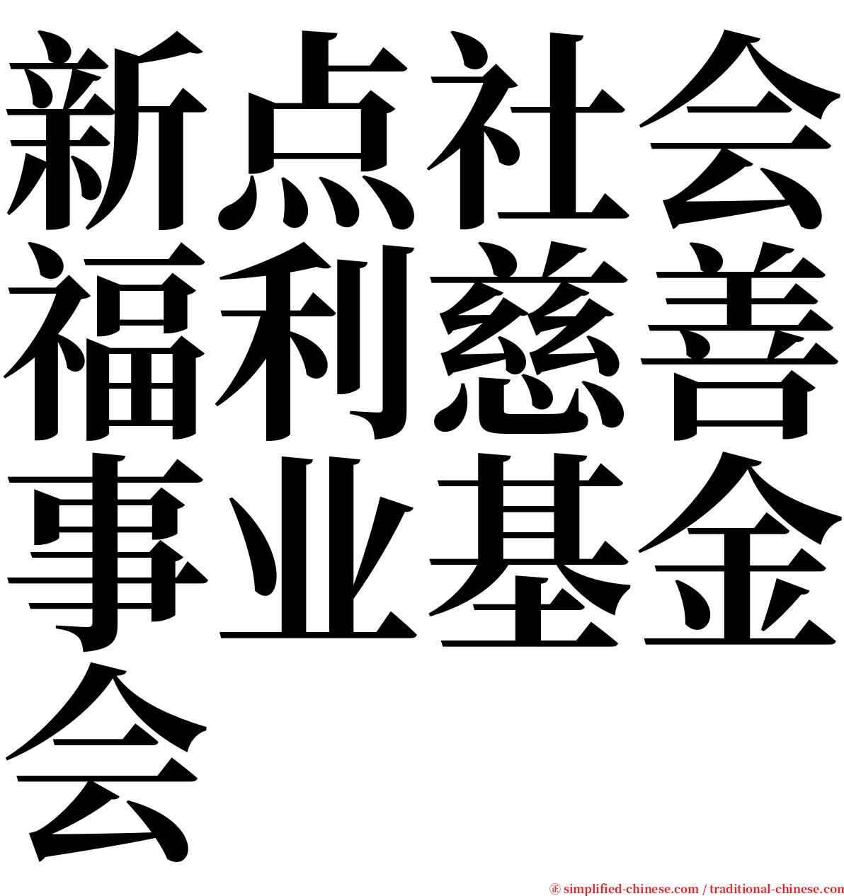 新点社会福利慈善事业基金会 serif font