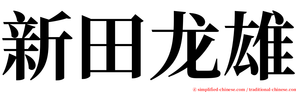 新田龙雄 serif font