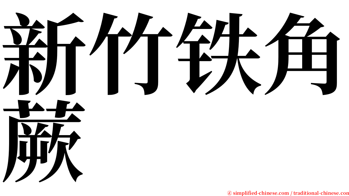 新竹铁角蕨 serif font