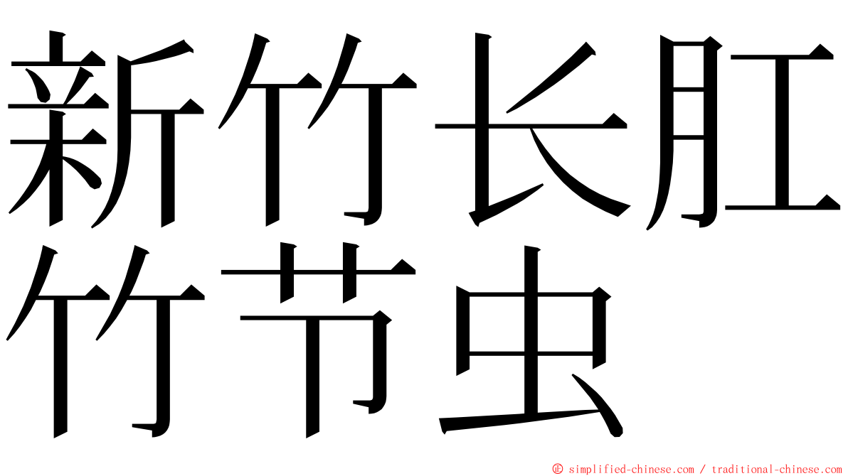 新竹长肛竹节虫 ming font