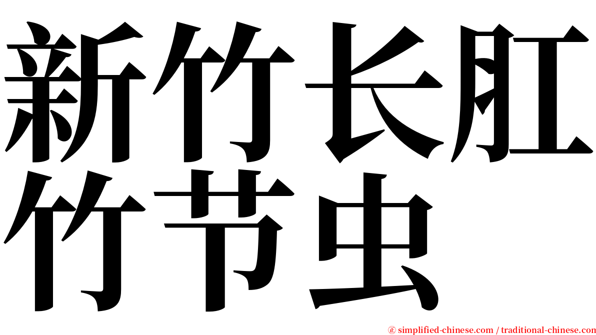 新竹长肛竹节虫 serif font