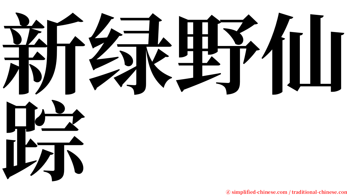 新绿野仙踪 serif font