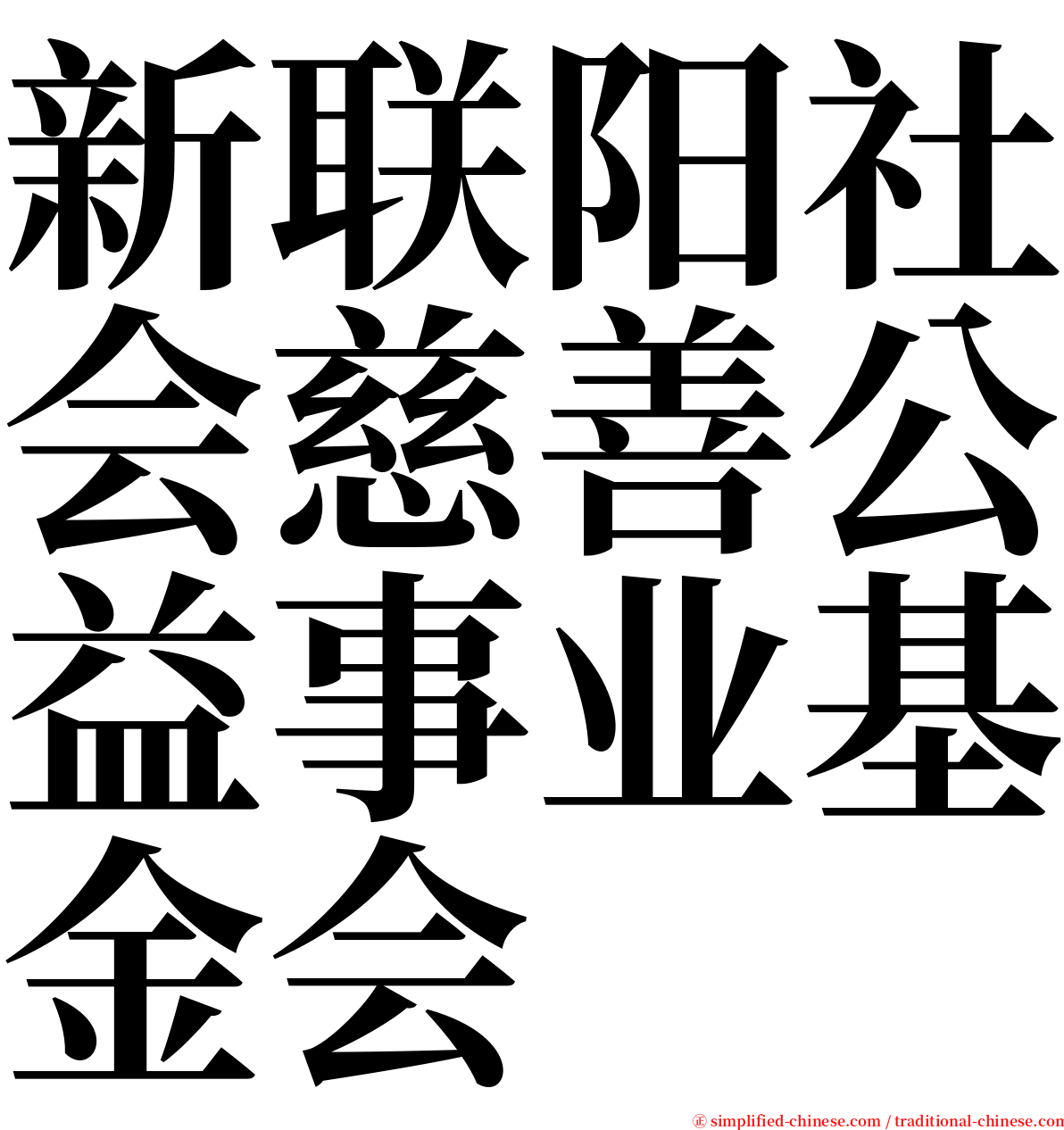 新联阳社会慈善公益事业基金会 serif font