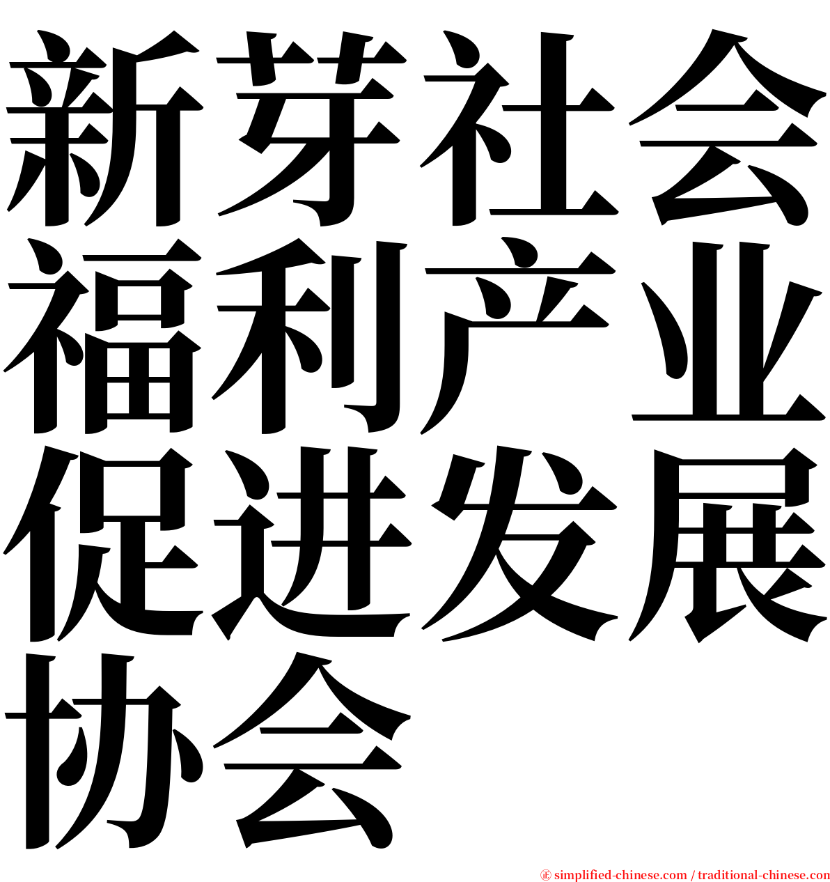 新芽社会福利产业促进发展协会 serif font