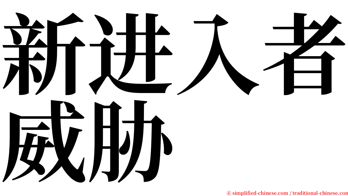 新进入者威胁 serif font