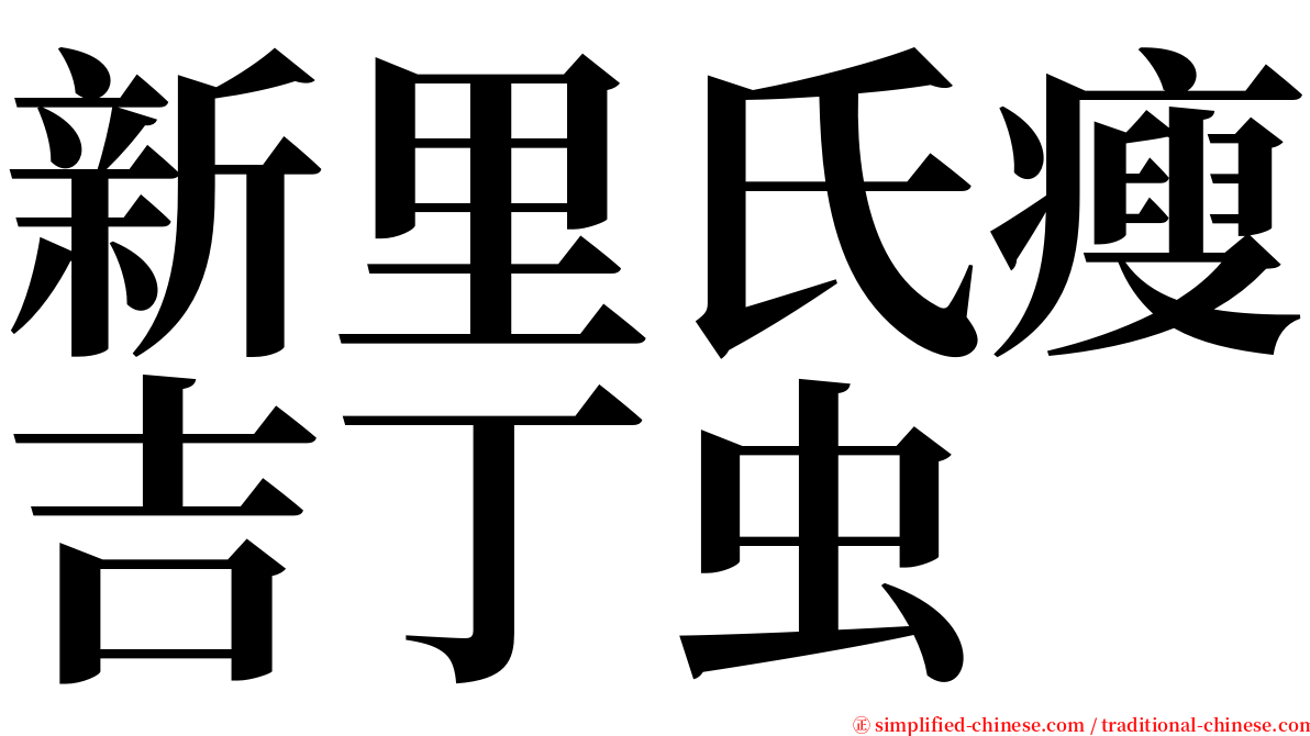 新里氏瘦吉丁虫 serif font