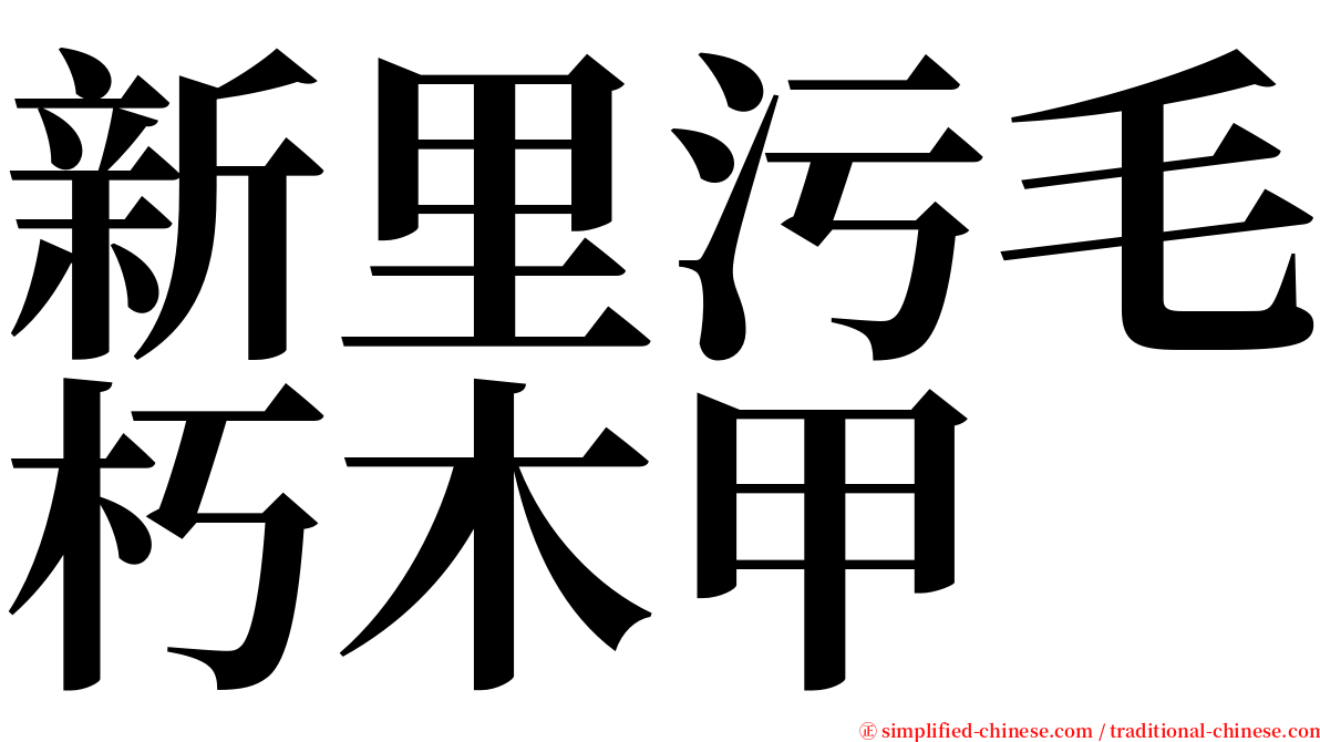 新里污毛朽木甲 serif font