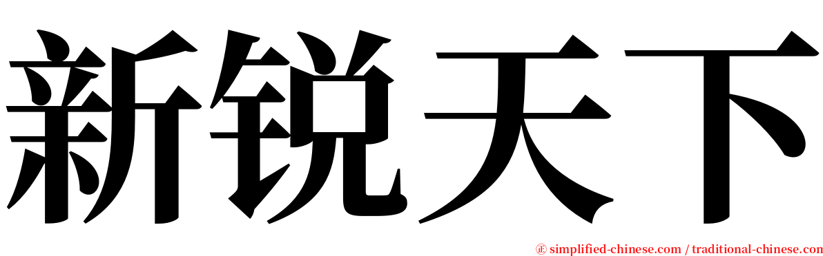 新锐天下 serif font