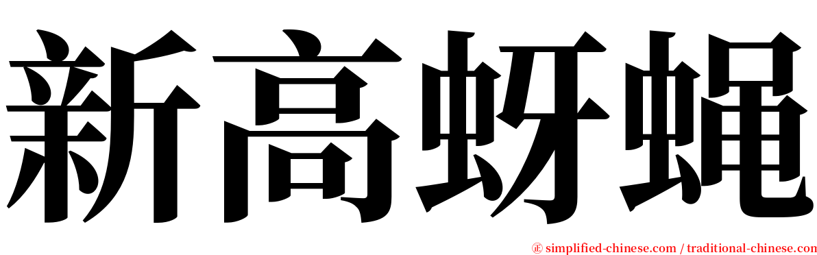 新高蚜蝇 serif font