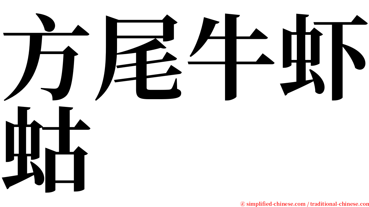 方尾牛虾蛄 serif font