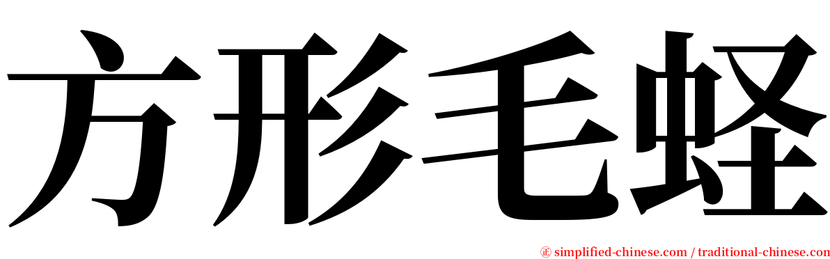 方形毛蛏 serif font