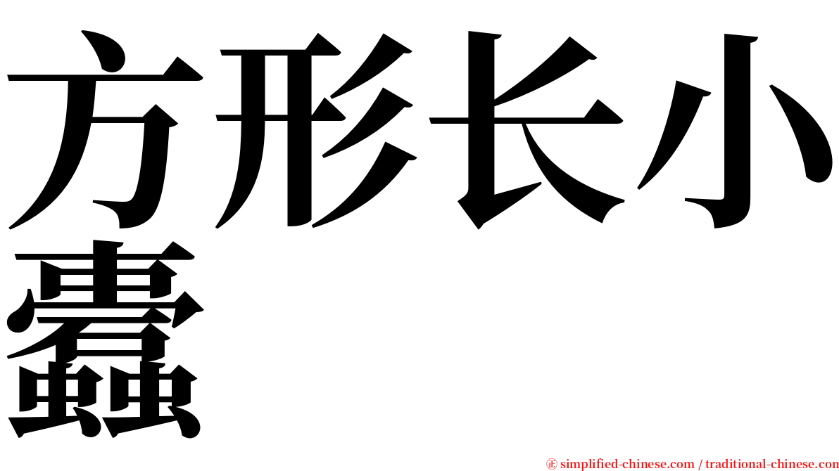 方形长小蠹 serif font