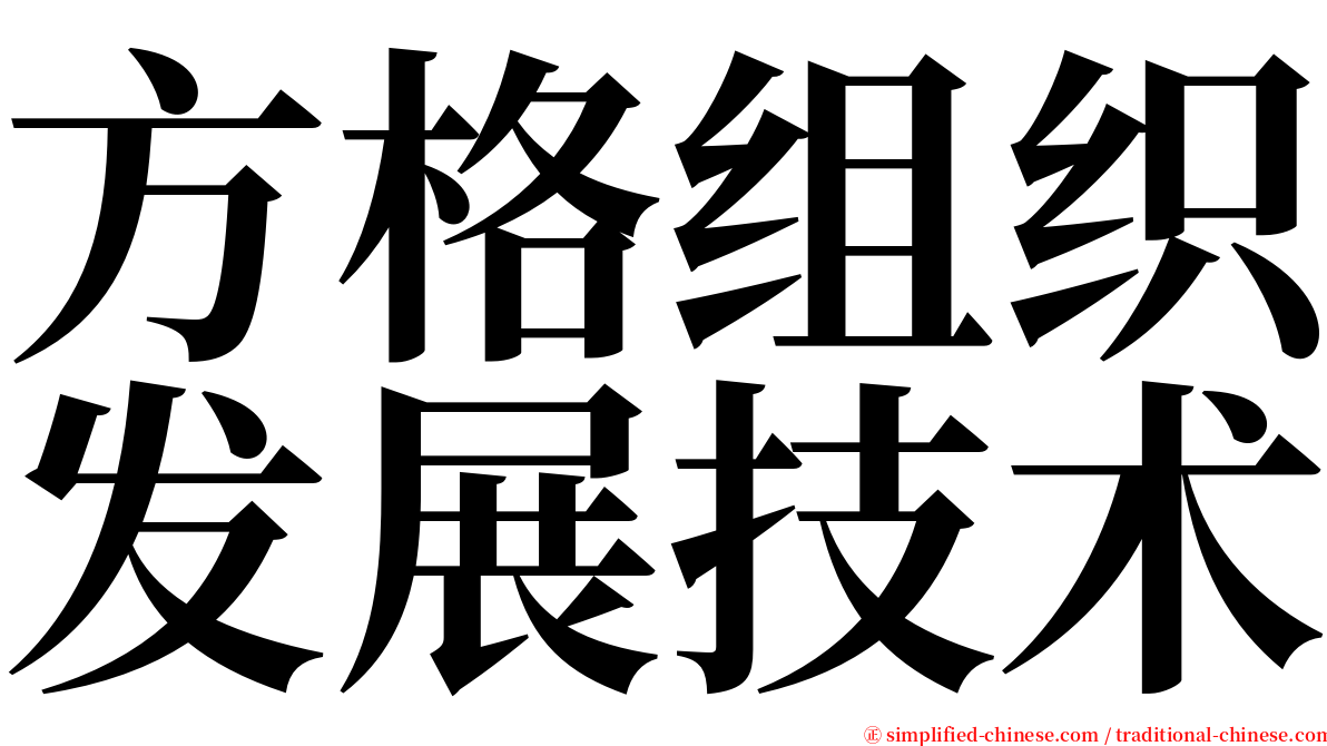 方格组织发展技术 serif font