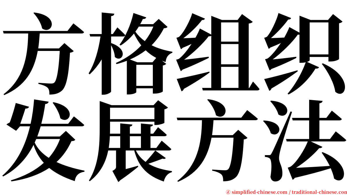 方格组织发展方法 serif font